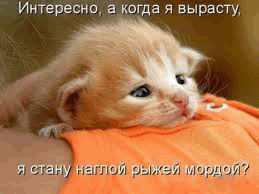 Детские анекдоты