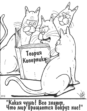 Прикольные анекдоты про котов