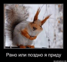 Прикольные анекдоты про животных