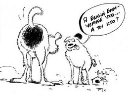 Прикольные и угарные анекдоты