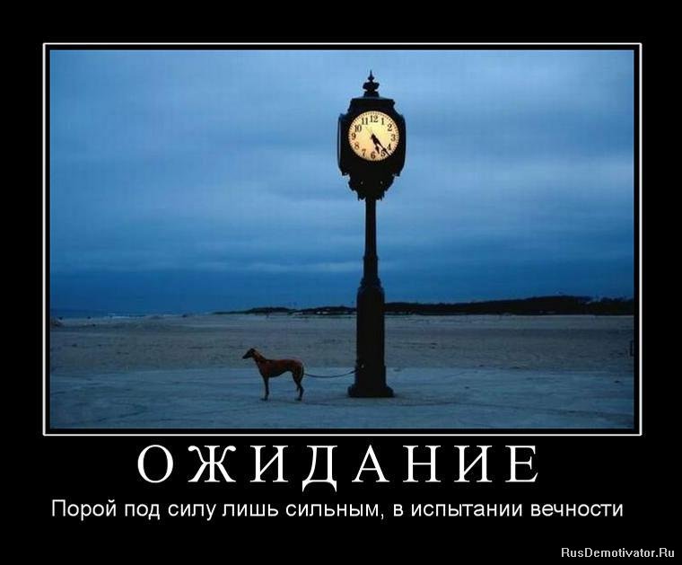 Прикольные цитаты про ожидание