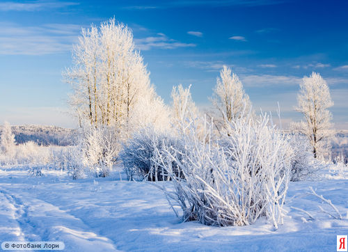 Прикольные цитаты про январь
