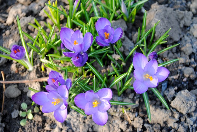 Прикольные цитаты про апрель