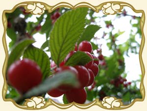 Прикольные цитаты про август