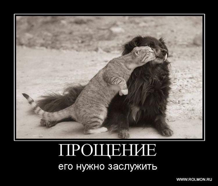 Прикольные цитаты о прощении