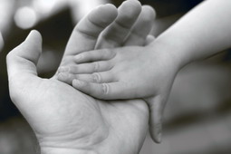 Прикольные цитаты про доверие