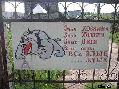 Прикольные и злые цитаты