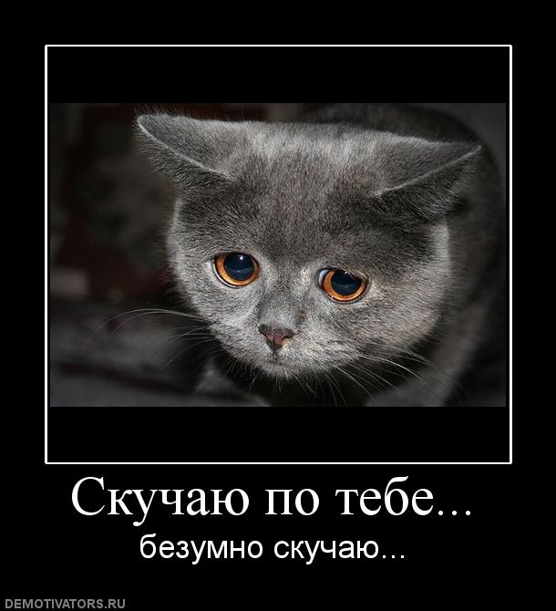 Прикольные цитаты скучаю