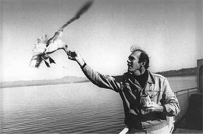 Прикольные цитаты Ричарда Баха