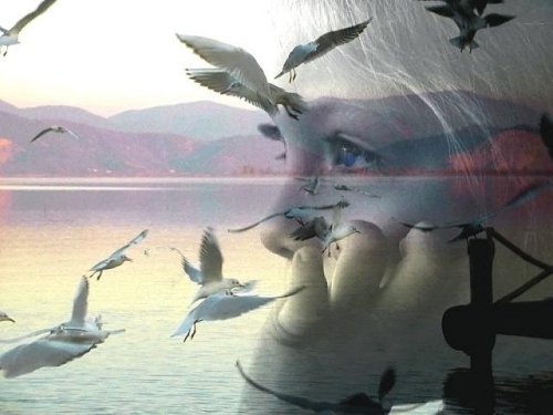 Прикольные цитаты о судьбе