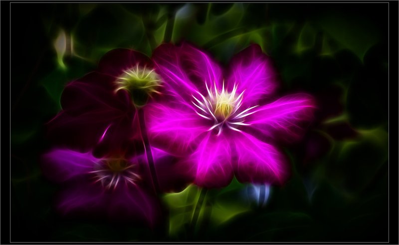 Прикольные цитаты про цветы