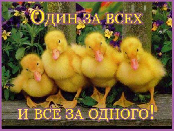 Прикольные новые цитаты