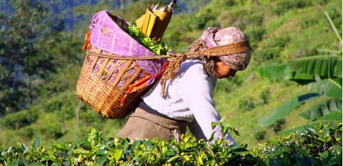 Прикольные цитаты о труде | prikolnye-smeshnye.ru 