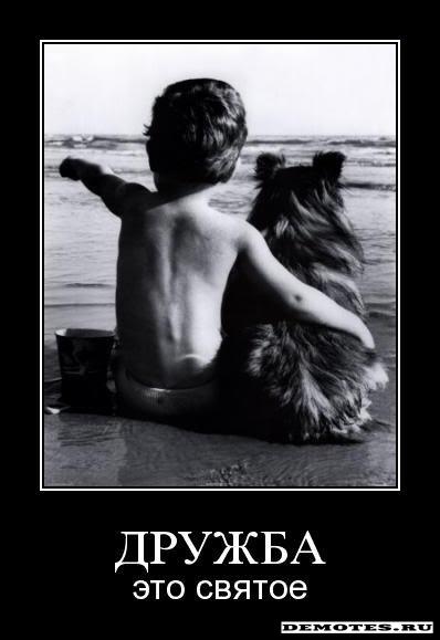 Прикольные цитаты о дружбе
