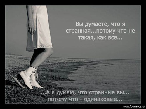 Прикольные цитаты  о себе в стихах | prikolnye-smeshnye.ru 