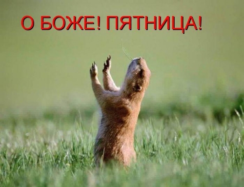 Прикольные цитаты про пятницу 