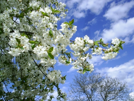 Прикольные весенние цитаты