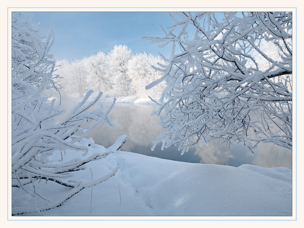 Прикольные цитаты