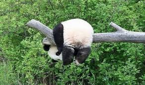 Прикольные цитаты о жизни с юмором