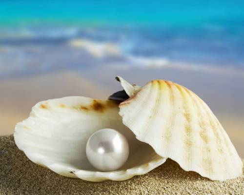 Прикольные жемчужина мысли цитаты