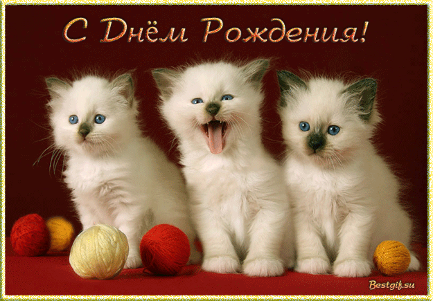 Красивые поздравления с днем рождения внуку | prikolnye-smeshnye.ru