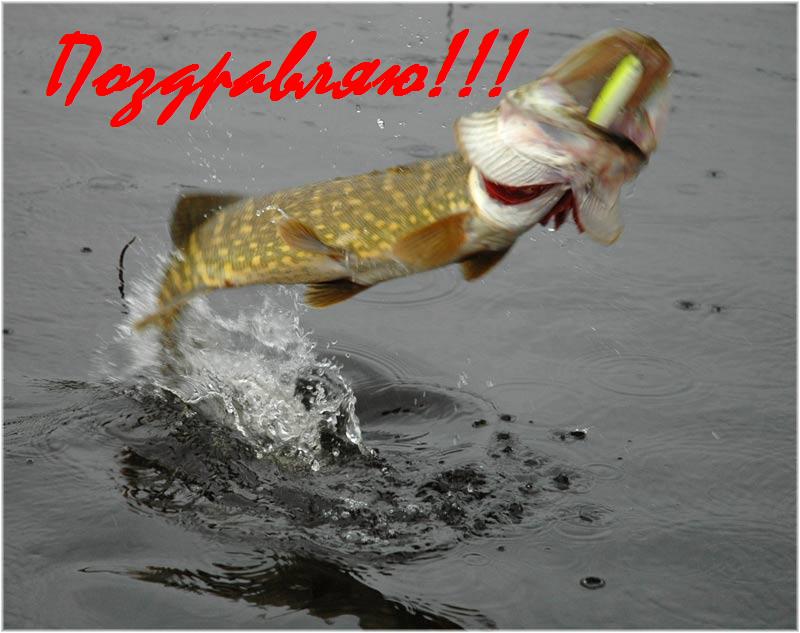 Прикольные и красивые поздравления с днем рождения рыбаку | prikolnye-smeshnye.ru