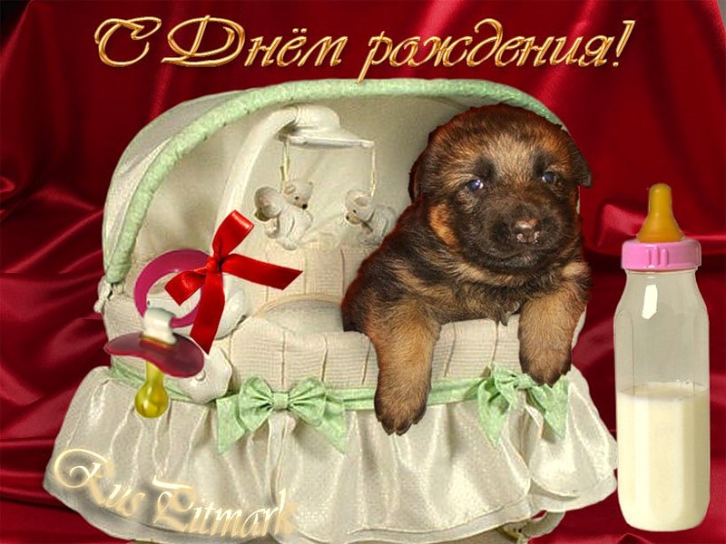 Красивые поздравления с днем рождения спортсмену | prikolnye-smeshnye.ru