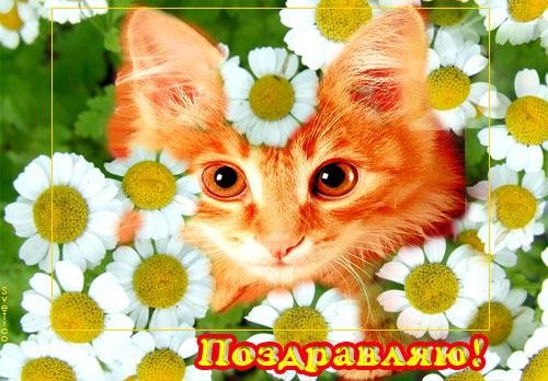 Прикольные и красивые поздравления с днем рождения Роману | prikolnye-smeshnye.ru