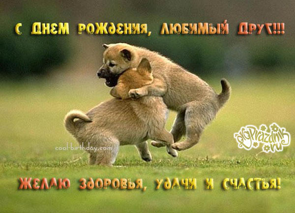 Прикольные поздравления с днем рождения моряку | prikolnye-smeshnye.ru