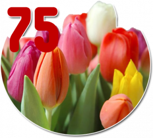 Красивые поздравления с юбилеем 75 лет женщине | prikolnye-smeshnye.ru