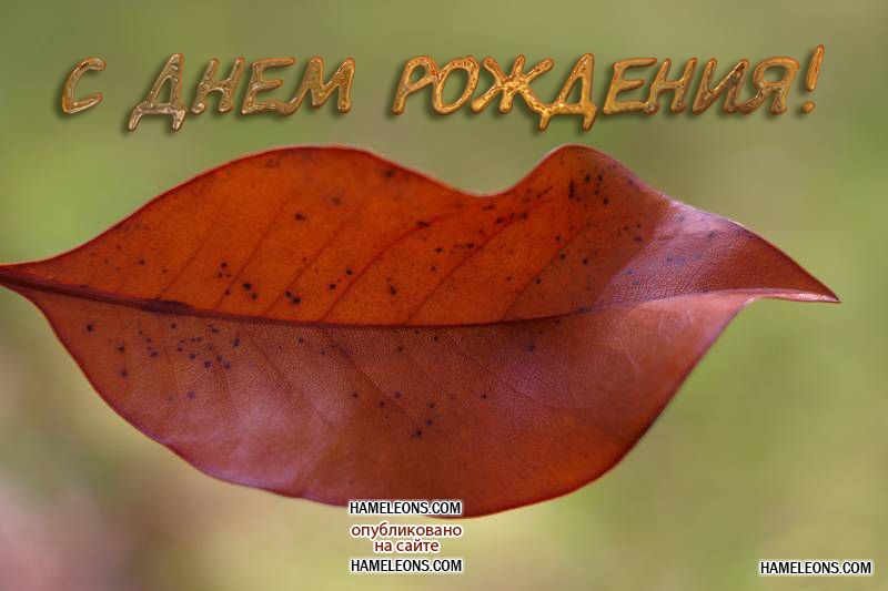 Прикольные и красивые поздравления с днем рождения в сентябре | prikolnye-smeshnye.ru