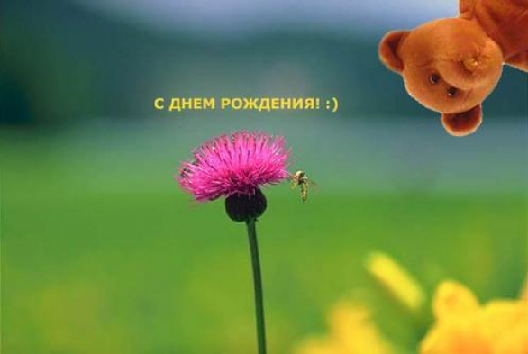 Прикольные и красивые поздравления с днем рождения тете | prikolnye-smeshnye.ru