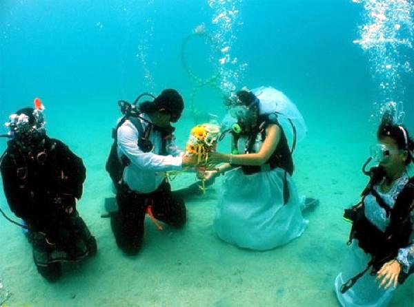 Шуточные поздравления на свадьбу