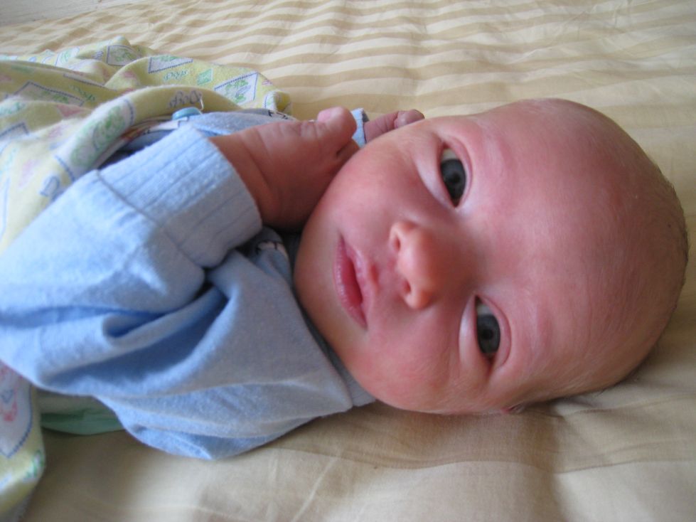 Короткие поздравления с рождением сына | prikolnye-smeshnye.ru