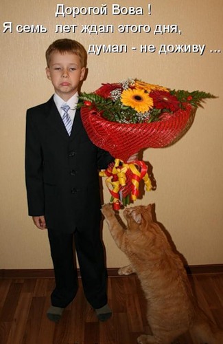 Прикольные статусы про первоклашек