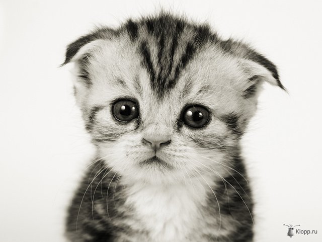 Очень грустные статусы вконтакте