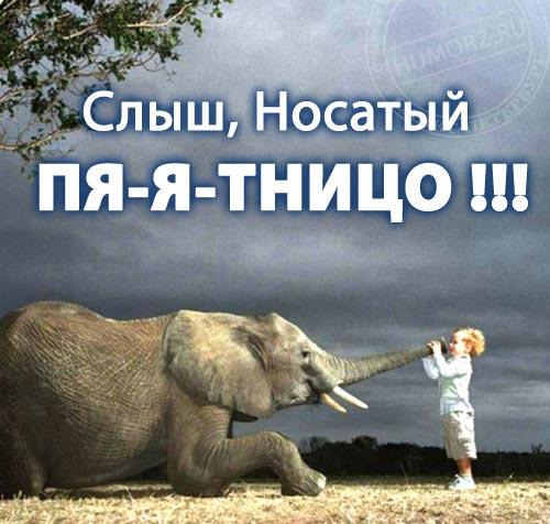 Прикольные статусы про пятницу для социальных сетей