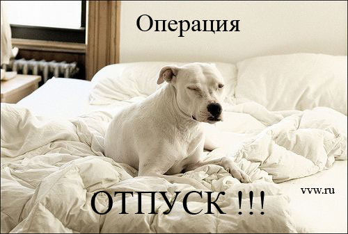 Прикольные статусы про отпуск для социальных сетей