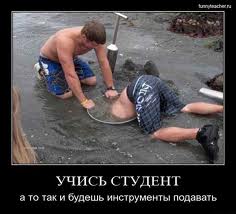 Красивые статусы про студенческую жизнь