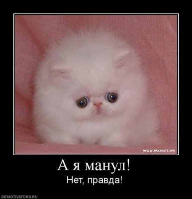 Прикольные статусы жемчужина мысли для социальных сетей