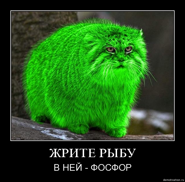 Юморные статусы в социальных сетях