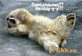 Прикольные статусы про понедельник для социальных сетей