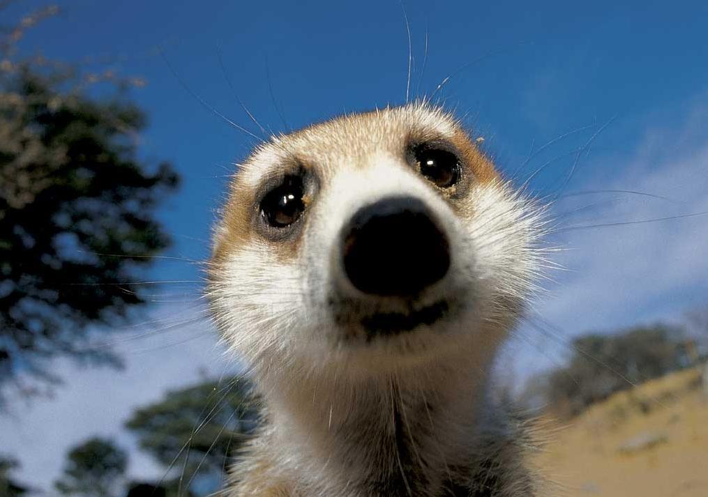 Самые лучшие и новые статусы в социальных сетях