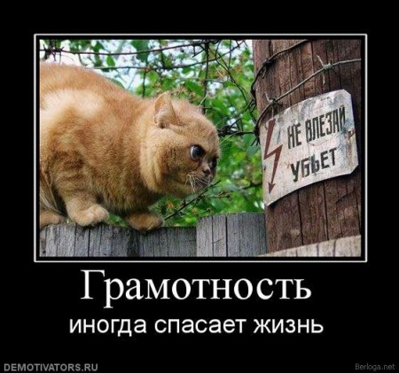 Грамотные статусы в социальных сетях