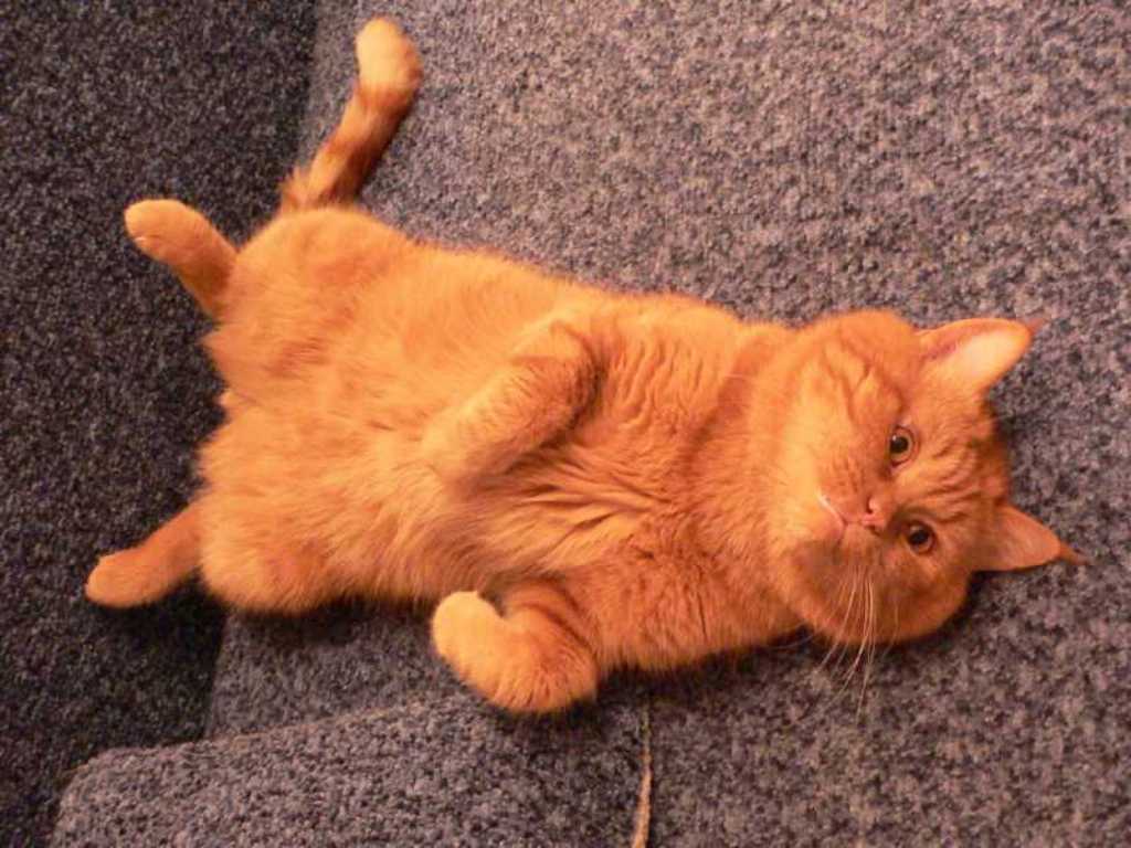 Наглые статусы в социальных сетях