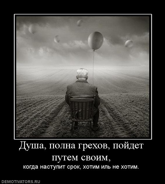 Самые прикольные статусы от души