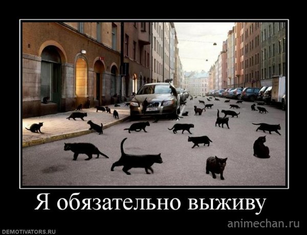 Самые оптимистические статусы