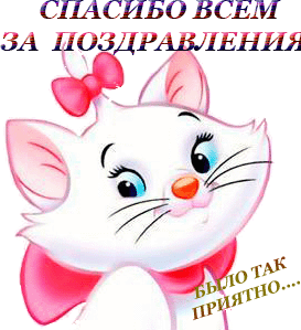 Самые прикольные статусы