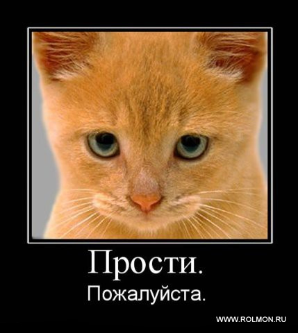 Самые прикольные статусы о прощении