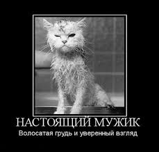 Самые прикольные статусы про настоящих мужчин